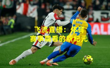 飞流直播：体育赛事观看的新纪元