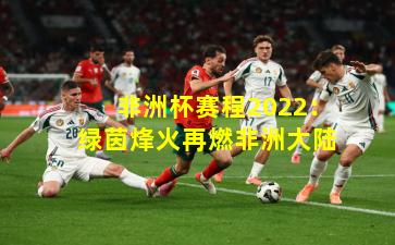 非洲杯赛程2022：绿茵烽火再燃非洲大陆