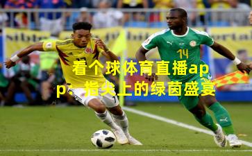看个球体育直播app：指尖上的绿茵盛宴