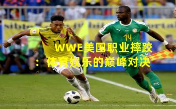 WWE美国职业摔跤：体育娱乐的巅峰对决