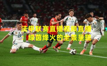 法甲联赛直播视频直播：绿茵烽火的全景呈现