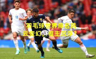 羽毛球世界排名风云变幻，谁主沉浮？