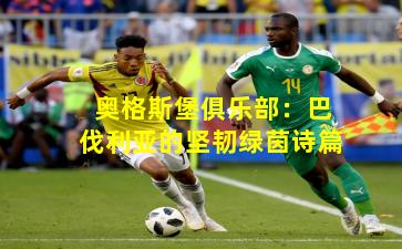 奥格斯堡俱乐部：巴伐利亚的坚韧绿茵诗篇